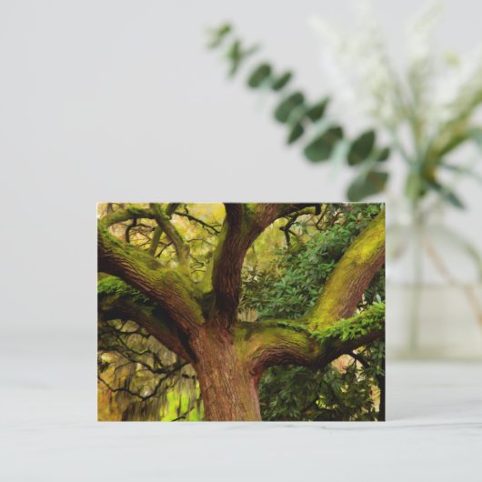 Eichenbaum Postkarte (Stehend Vorderseite)