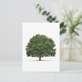 Eichenbaum Postkarte (Stehend Vorderseite)