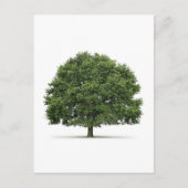 Eichenbaum Postkarte (Vorderseite)