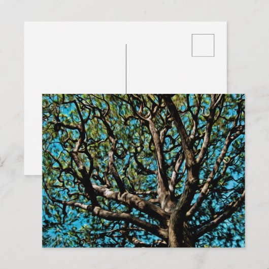 Eichenbaum Postkarte (Vorne/Hinten)