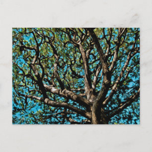 Eichenbaum Postkarte