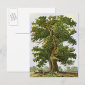 Eichenbaum-Postkarte im Vintage-Stil Postkarte (Vorne/Hinten)