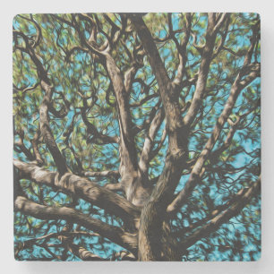 Eichenbaum Steinuntersetzer