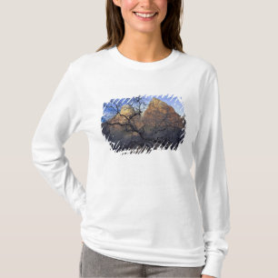 Eichenbäume im Winter, Hof der Patriarchen T-Shirt