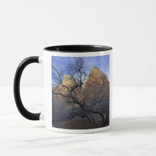 Eichenbäume im Winter, Hof der Patriarchen Tasse