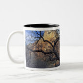 Eichenbäume im Winter, Hof der Patriarchen Zweifarbige Tasse (Links)