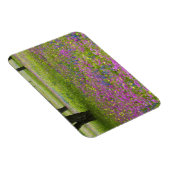 Eichenbäume mit Feld Phlox, Blaue Bonnets Magnet (Rechte Seite)