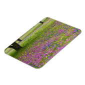 Eichenbäume mit Feld Phlox, Blaue Bonnets Magnet (Linke Seite)