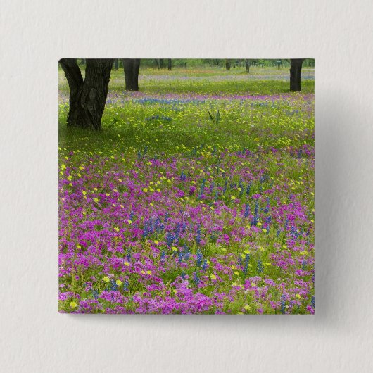 Eichenbäume mit Feld Phlox, Blauer Bonnets Button (Vorderseite)