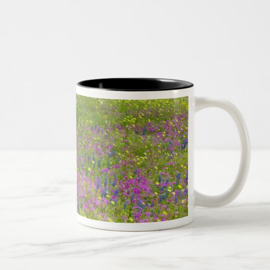 Eichenbäume mit Feld Phlox, Blauer Bonnets Zweifarbige Tasse (Rechts)