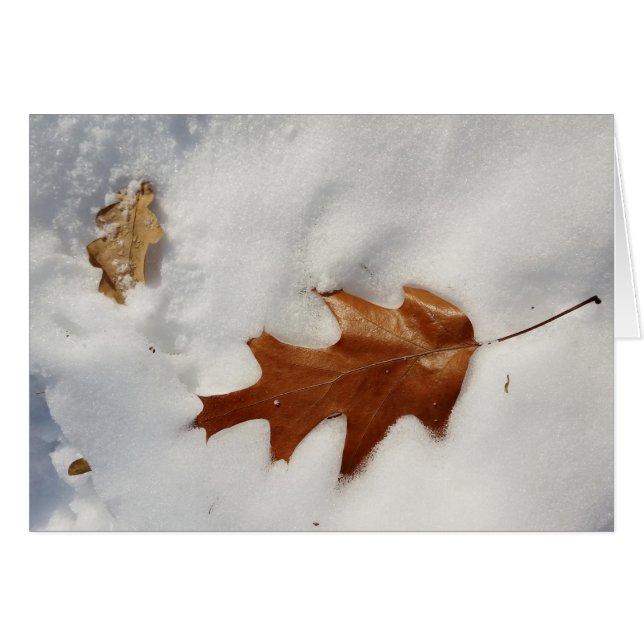 Eichenblatt auf dem Schnee (Vorderseite (Horizontal))