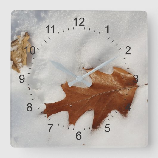 Eichenblatt auf dem Schnee Quadratische Wanduhr (Vorderseite)