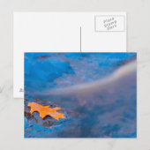 Eichenblatt auf Felsen am Rosseau-Fluss Postkarte (Vorne/Hinten)