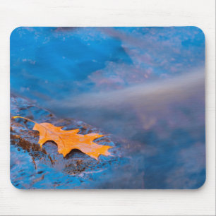 Eichenblatt auf Felsen im Rosseau River Mousepad