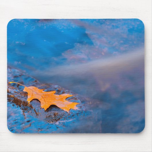Eichenblatt auf Felsen im Rosseau River Mousepad (Vorne)