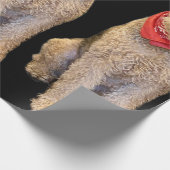 Eichenblatt-Geschenkpapier - Schwarz Geschenkpapier (Ecke)