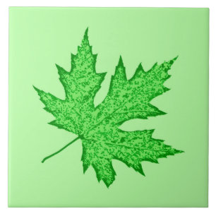 Eichenblatt - grüne Farbtöne Fliese