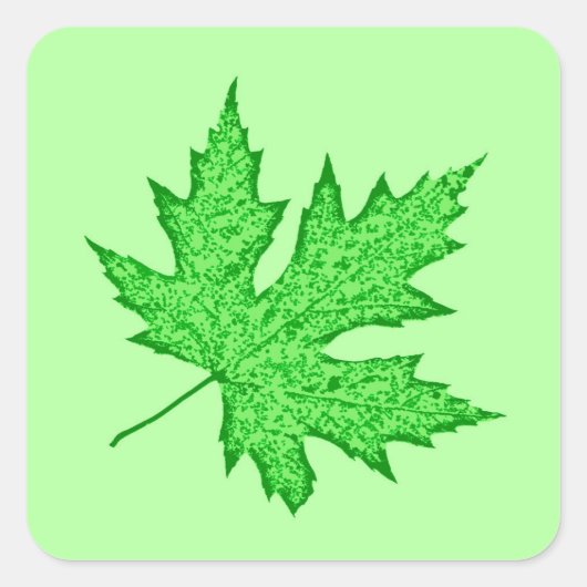 Eichenblatt - grüne Farbtöne Quadratischer Aufkleber (Vorderseite)