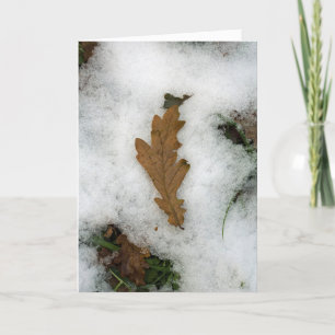 Eichenblatt im Schnee liegen Feiertagskarte