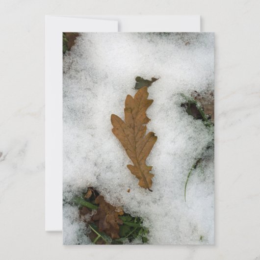 Eichenblatt in der Schneeurlaubskarte Feiertagskarte (Vorderseite)