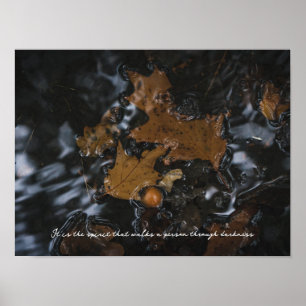 Eichenblätter und Eicheln in dunklen Gewässern Poster
