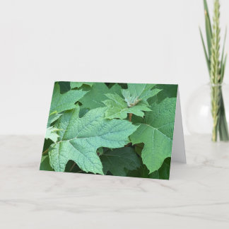 Eichenblättrige Hortensien-Leerkarte Dankeskarte