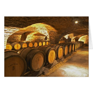 Eichenfässer im Keller des Domaine Comte