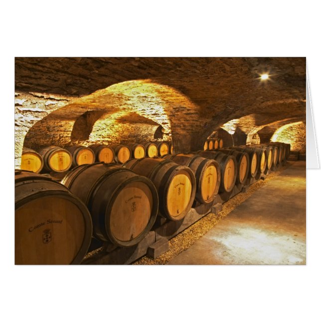 Eichenfässern im Keller der Domaine Comte (Vorderseite (Horizontal))