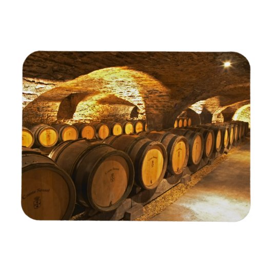Eichenfässern im Keller der Domaine Comte Magnet (Horizontal)