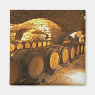 Eichenfässern im Keller der Domaine Comte Magnet