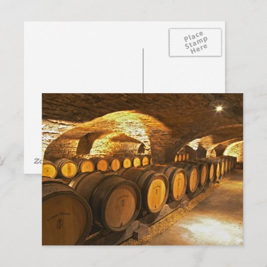 Eichenfässern im Keller der Domaine Comte Postkarte (Vorne/Hinten)