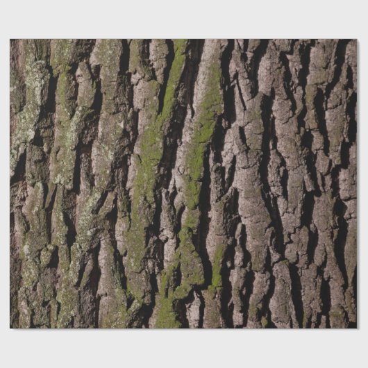 Eichenholz Geschenkpapier (Flach)