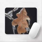 Eichenholz mit Eisschnecken nach Eissturm; Mousepad (Mit Mouse)