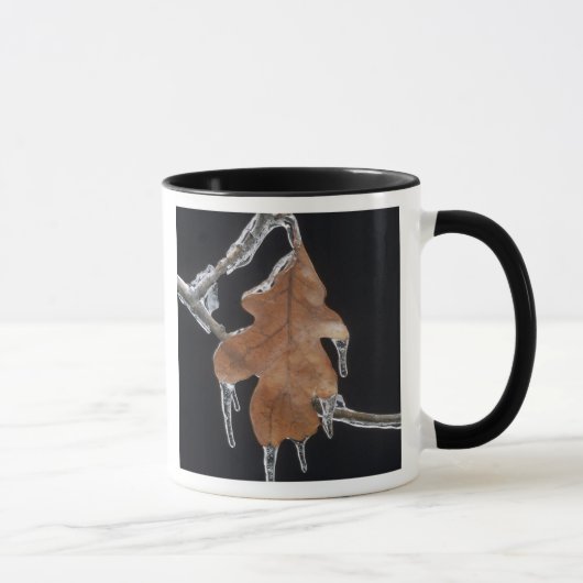 Eichenholz mit Eisschnecken nach Eissturm; Tasse (Rechts)