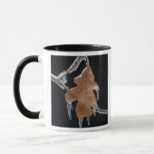 Eichenholz mit Eisschnecken nach Eissturm; Tasse (Links)