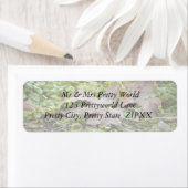 Eichenholz und Kichererbse (Insitu)