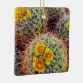 Eichenkaktus nah, Kalifornien Keramikornament (Rechts)
