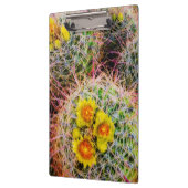 Eichenkaktus nah, Kalifornien Klemmbrett (Links)