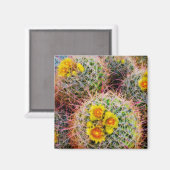 Eichenkaktus nah, Kalifornien Magnet (Vorderseite/Rückseite)