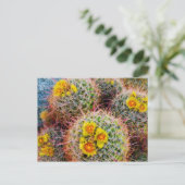 Eichenkaktus nah, Kalifornien Postkarte (Stehend Vorderseite)