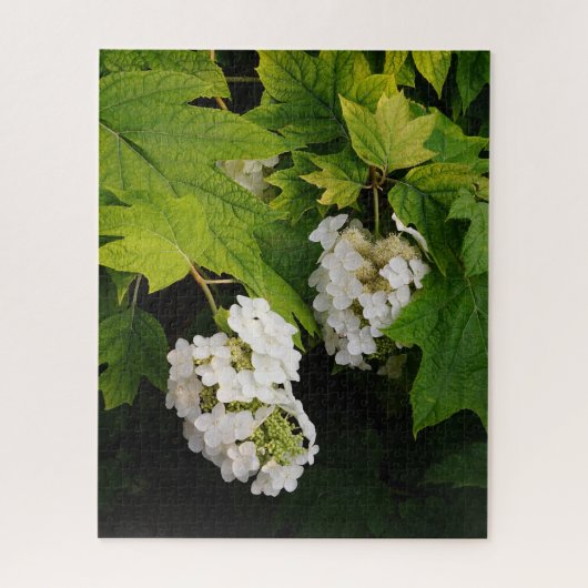 Eichenlaub-Hortensie Puzzle (Vertikal)