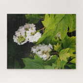 Eichenlaub-Hortensie Puzzle (Horizontal)