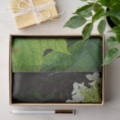 Eichenlaub-Hortensie Seidenpapier (Geschenk)