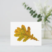 Eichenlaub im Herbst Postkarte (Stehend Vorderseite)