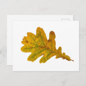 Eichenlaub im Herbst Postkarte (Vorne/Hinten)