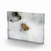 Eichenleaf liegt im Schnee Holiday Card Poster Fotoblock (Rechts)