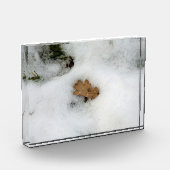 Eichenleaf liegt im Schnee Holiday Card Poster Fotoblock (Links)