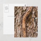 Eichenrinde Postkarte (Vorne/Hinten)