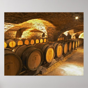 Eichentonnen im Keller des Domaine Comte Poster