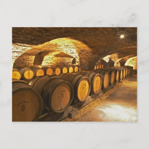 Eichentonnen im Keller des Domaine Comte Postkarte